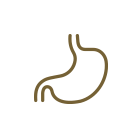 胃カメラ検査