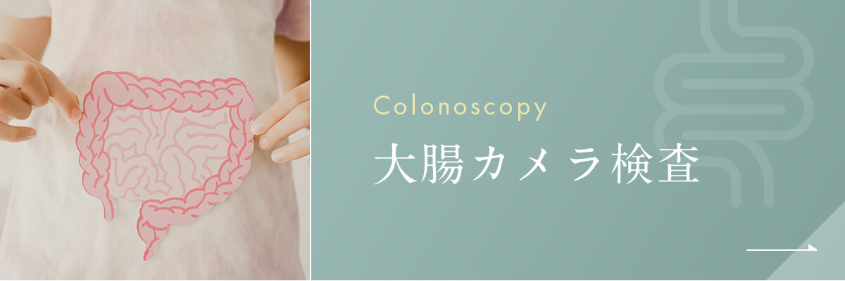 大腸カメラ検査