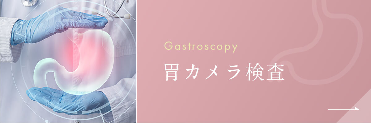 胃カメラ検査