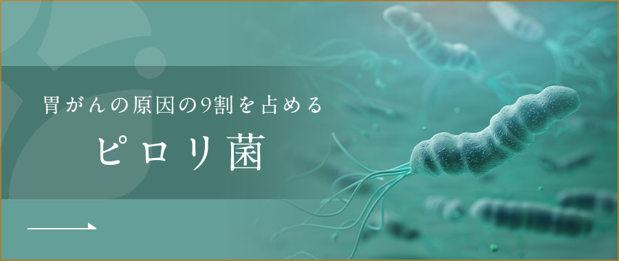胃がんの原因の9割を占めるピロリ菌