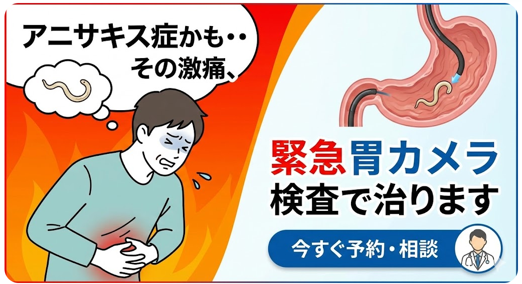 アニサキス症の即日胃カメラ検査なら